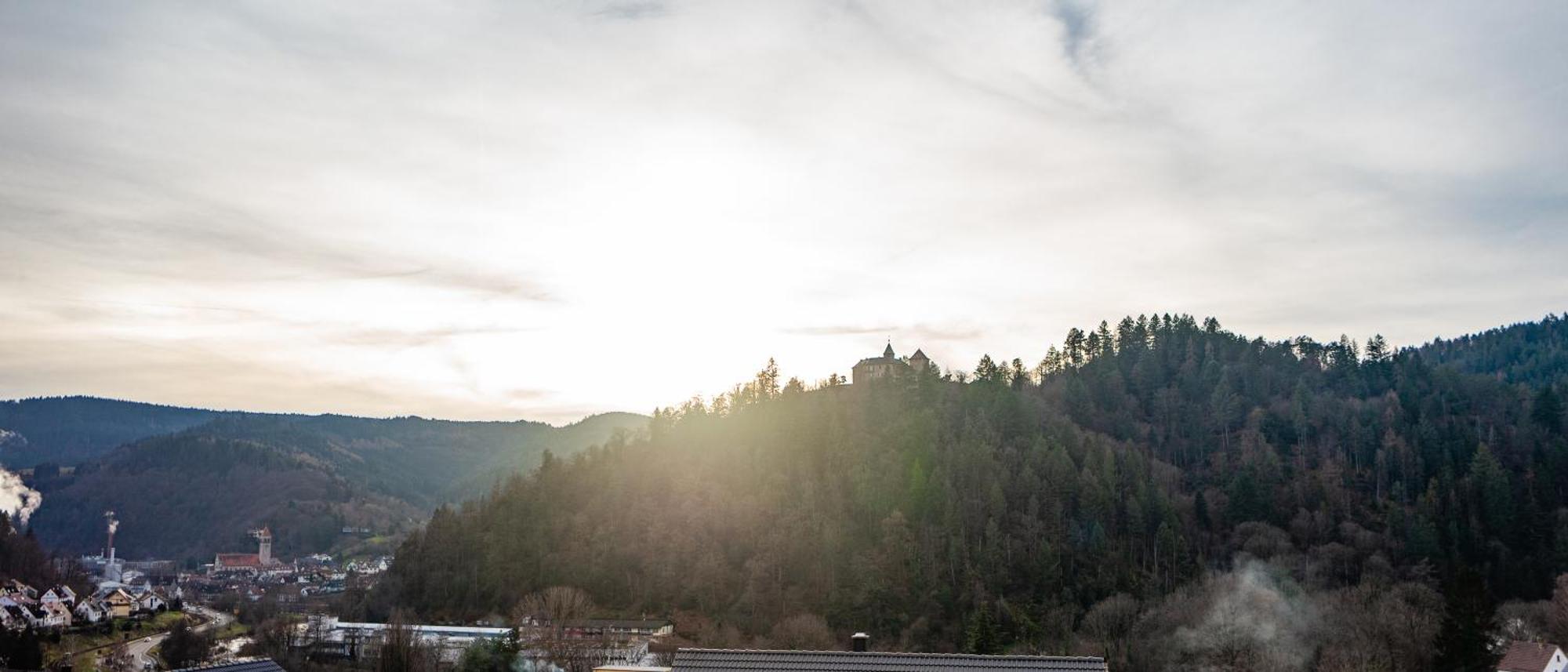 Schlossblick Schwarzwaldpanorama ゲルンスバッハ エクステリア 写真